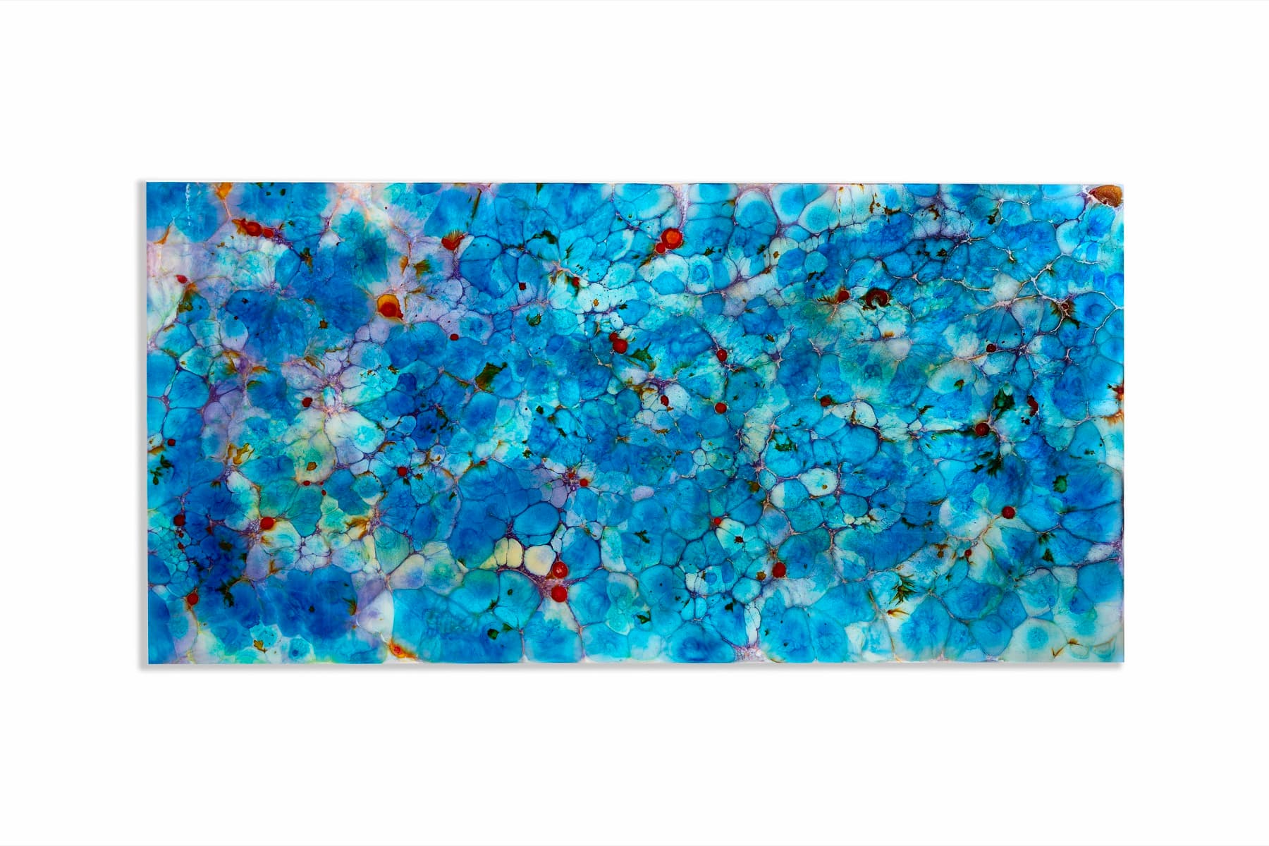 Nebula